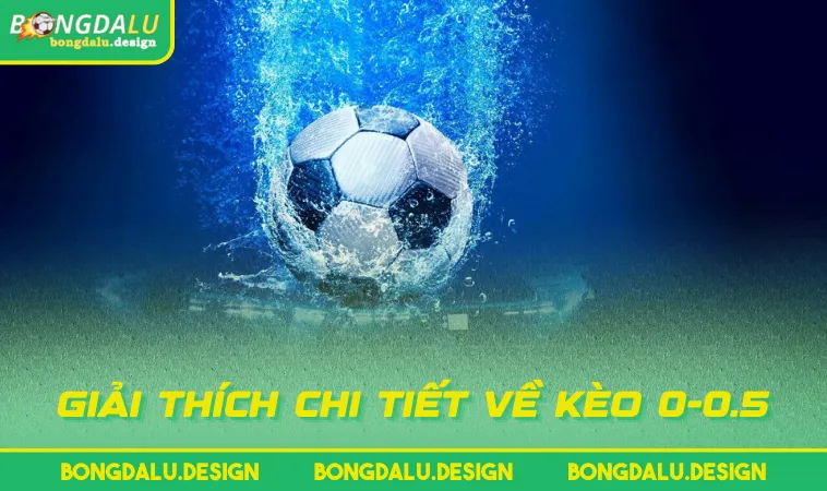 giai thich chi tiet ve keo 0 0 5 Giải thích chi tiết về kèo 0-0.5