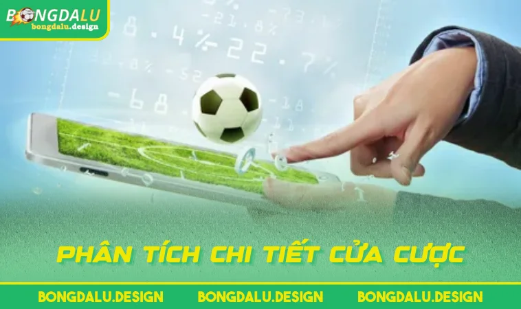 phan tich chi tiet cua cuoc Phân tích chi tiết cửa cược