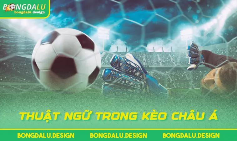 thuat ngu trong keo chau a Thuật ngữ trong kèo châu Á