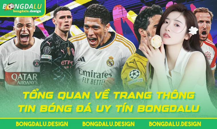 tong quan ve trang thong tin bong da uy tin bongdalu Tổng quan về trang thông tin bóng đá uy tín BONGDALU
