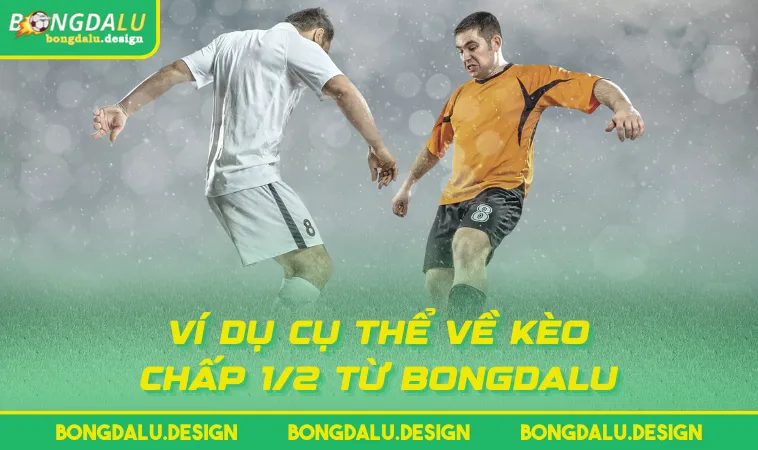 vi du cu the ve keo chap 1 2 tu bongdalu Ví dụ cụ thể về kèo chấp 1/2 từ BONGDALU