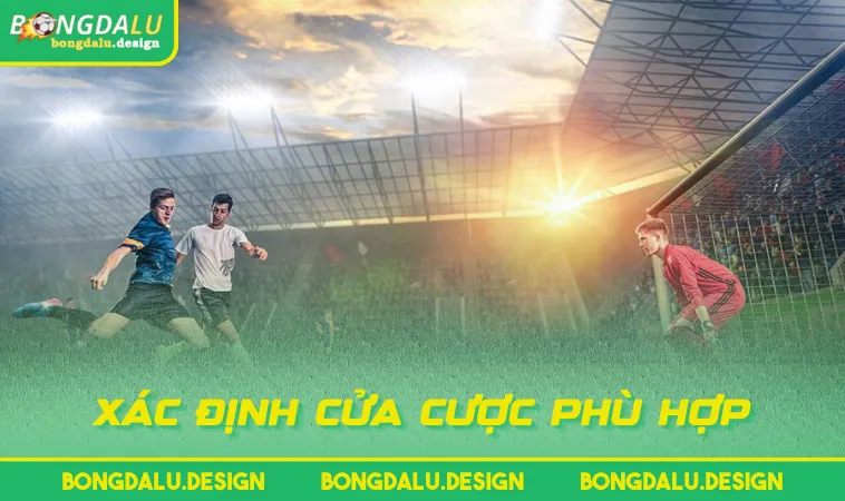 xac dinh cua cuoc phu hop Xác định cửa cược phù hợp